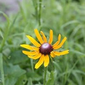 Marilyn Hess's photo