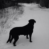 Foto von Dana Everson