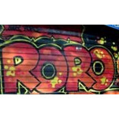 Roxane Bracke's photo