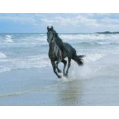 Patricia Ramsay's photo