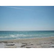 Jane Miller's photo