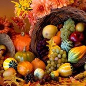 Nadine Freese's photo