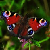 Gloria Spangler's photo