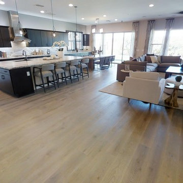 Evolve at Cantilena | Peoria, AZ | 5581 - Flourish Plan