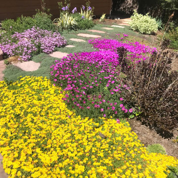 Showy Groundcovers Galore