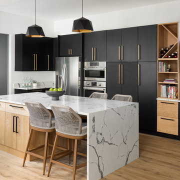 Contemporary Kitchen