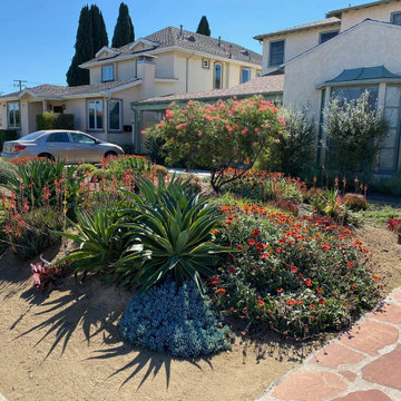 Bermed front yard