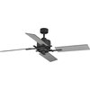 Bedwin Collection 54"  4-Blade Graphite Ceiling Fan
