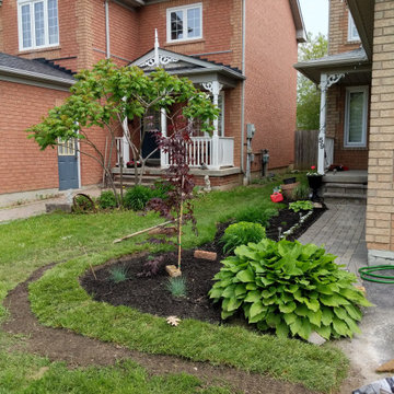 Whitby Backyard Refresh