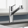 Hansgrohe 06462 Talis S 1.75 GPM Pull-Out Kitchen Faucet - Steel Optik