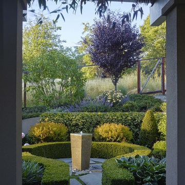 Perennial Splendor