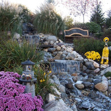 front lawn