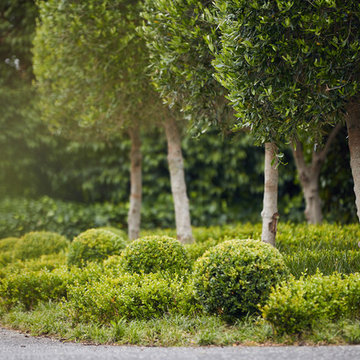 Lifestyle Block French Garden