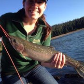 Lauren Boyd's photo