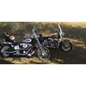 Douglas Goedert's photo