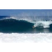 Wesley Liquorish's photo