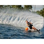 Joe Mahlie's photo