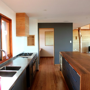 Large beach style kitchen pantry photos - Kitchen pantry - large beach style galley light wood floor kitchen pantry idea in Newcastle - Maitland with an integrated sink, blue cabinets, stainless steel countertops, white backsplash, subway tile backsplash, stainless steel appliances and an island