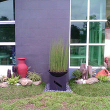 rey's landscape