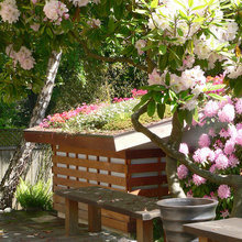 Outdoor garden