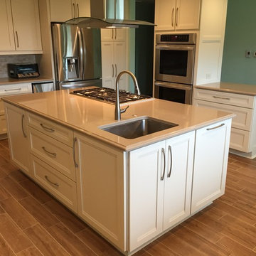 Large Mount Prospect Remodel