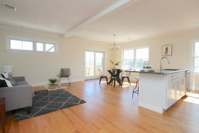 Example of a minimalist living room design in Boston