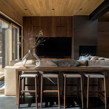 Mountain Modern Basement