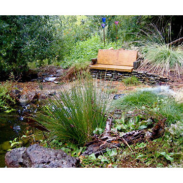Front Yard Pond, and a Bench Made From a Sidewalk