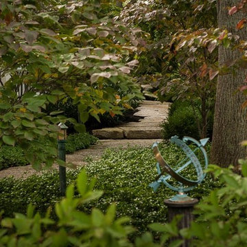 Limestone path through a grove of Dogwood.