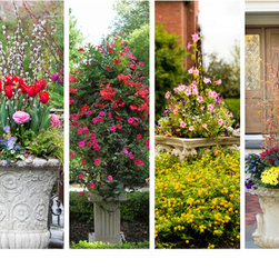 Spring Rotations - Plants