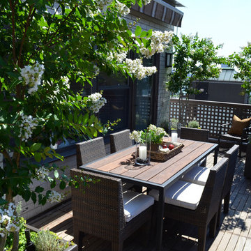 Beekman Penthouse Terrace