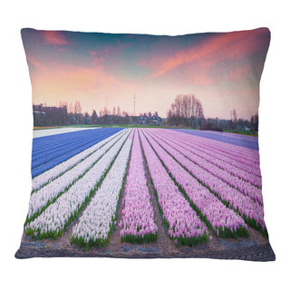 https://st.hzcdn.com/fimgs/95a1b4d50cf52e81_4072-w320-h320-b1-p10--farmhouse-decorative-pillows.jpg