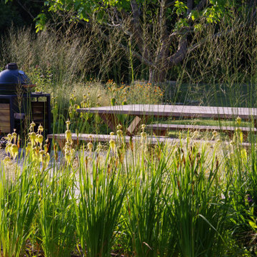 Hampshire Water Garden