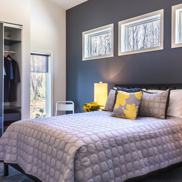 Contemporary Bedroom