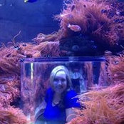 Anna Ferguson's photo