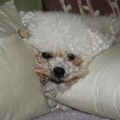 Joan Milley's photo