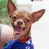 Fernando Leeder's photo