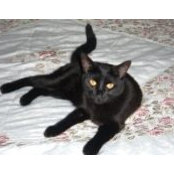 Carol LaFave Hebert's photo