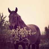 Linda Mayo's photo