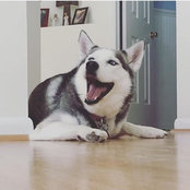 Melinda Woolf's photo