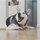 chris_woolf