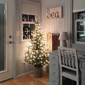 Vickie Warner's photo