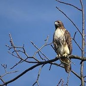 Brenda Conrad's photo