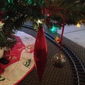 Foto von Colleen Barton