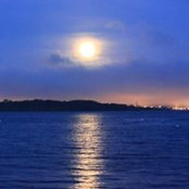 Jacquelyn Barrows's photo