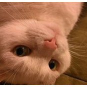 Tammy Winters's photo