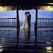 Kate Brownlow's photo