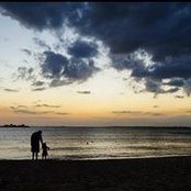 Ray Bozorg's photo