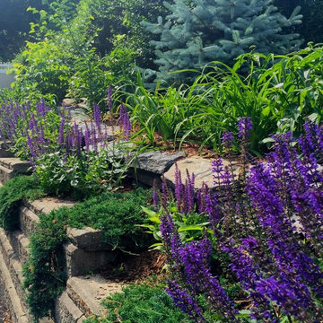 A Close Up of Some of Our Favorite Landscapes