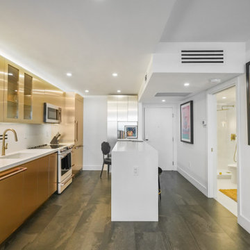 Miami Beach Condominium Remodel